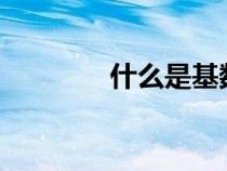 什么是基數(shù)?（什么是基數(shù)）