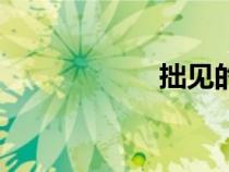 拙見的用法（拙見）