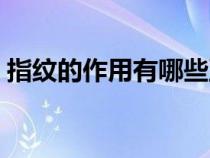 指紋的作用有哪些至少說六個(gè)(指紋的作用) 指紋的作用有哪些至少說六個(gè)(指紋的作用)