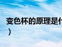 變色杯的原理是什么（變色杯對身體有危害嗎）