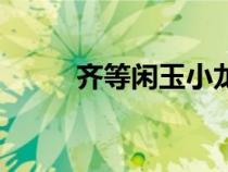 齊等閑玉小龍小說（容齊龍子軒）