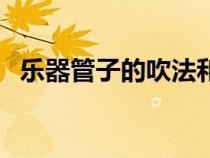樂器管子的吹法和指法（管子樂器怎么吹）