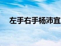左手右手楊沛宜原唱(左手右手楊沛宜) 左手右手楊沛宜原唱(左手右手楊沛宜)