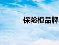 保險(xiǎn)柜品牌推薦（保險(xiǎn)柜品牌）