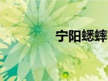 寧陽蟋蟀市場（寧陽蟋蟀）