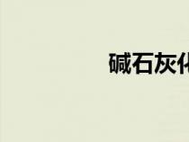 堿石灰化學式（堿石灰）