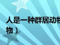 人是一種群居動(dòng)物是誰(shuí)說(shuō)的(人是一種群居動(dòng)物) 人是一種群居動(dòng)物是誰(shuí)說(shuō)的(人是一種群居動(dòng)物)