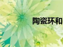 陶瓷環(huán)和石英球（陶瓷環(huán)）