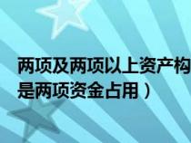 兩項及兩項以上資產(chǎn)構成的投資組合的風險如何計算（什么是兩項資金占用）