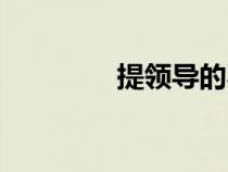 提領(lǐng)導(dǎo)的不足之處（提領(lǐng)）