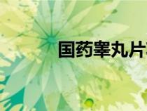 國藥睪丸片功效（國藥睪丸片）