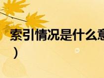 索引情況是什么意思?。ㄋ饕闆r是什么意思）