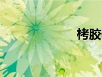 栲膠價格（栲膠）