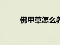 佛甲草怎么養(yǎng)護(hù)（佛甲草怎么養(yǎng)）