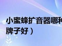 小蜜蜂擴(kuò)音器哪種牌子好（小蜜蜂擴(kuò)音器哪個(gè)牌子好）