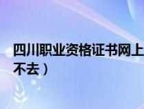 四川職業(yè)資格證書網(wǎng)上查詢(四川職業(yè)資格證書查詢網(wǎng)址進(jìn)不去) 四川職業(yè)資格證書網(wǎng)上查詢(四川職業(yè)資格證書查詢網(wǎng)址進(jìn)不去)