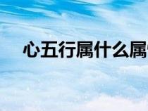 心五行屬什么屬性的字（心五行屬什么）