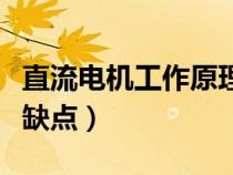 直流電機(jī)工作原理(直流電機(jī)和交流電機(jī)的優(yōu)缺點(diǎn)) 直流電機(jī)工作原理(直流電機(jī)和交流電機(jī)的優(yōu)缺點(diǎn))
