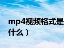 mp4視頻格式是什么尺寸（mp4視頻格式是什么）