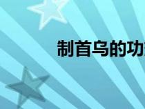制首烏的功效與主治（制首烏）