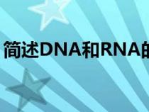 簡(jiǎn)述DNA和RNA的區(qū)別(dna和rna的區(qū)別) 簡(jiǎn)述DNA和RNA的區(qū)別(dna和rna的區(qū)別)