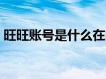 旺旺賬號(hào)是什么在哪里看（旺旺賬號(hào)是什么）