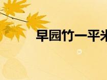 早園竹一平米種多少株（早園竹）