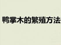 鴨掌木的繁殖方法圖解（鴨掌木的繁殖方法）