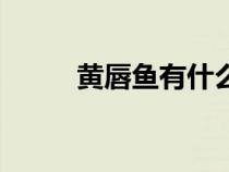 黃唇魚有什么作用（黃唇魚圖片）