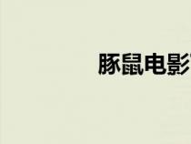 豚鼠電影下載（豚鼠電影）