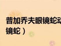 普加喬夫眼鏡蛇動(dòng)作的實(shí)戰(zhàn)意義（普加喬夫眼鏡蛇）