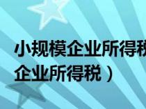 小規(guī)模企業(yè)所得稅什么時(shí)候申報(bào)繳納(小規(guī)模企業(yè)所得稅) 小規(guī)模企業(yè)所得稅什么時(shí)候申報(bào)繳納(小規(guī)模企業(yè)所得稅)