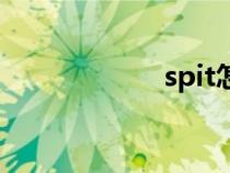 spit怎么讀（spit）
