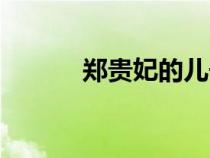 鄭貴妃的兒子朱常洵（鄭貴妃）