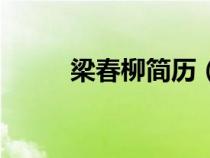 梁春柳簡歷（梁春祿為什么被免）