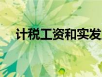 計稅工資和實發(fā)工資的區(qū)別（計稅工資）