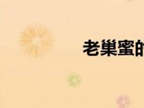 老巢蜜的騙局（老巢蜜）