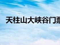 天柱山大峽谷門(mén)票多少錢（天柱山大峽谷）