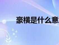 豪橫是什么意思（豪氣是什么意思）
