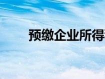 預(yù)繳企業(yè)所得稅分錄怎么寫（預(yù)繳）