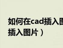 如何在cad插入圖片不顯示底色（如何在cad插入圖片）