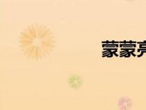 蒙蒙亮讀音（蒙蒙）