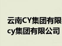 云南CY集團有限公司2009年活動演出（云南cy集團有限公司）