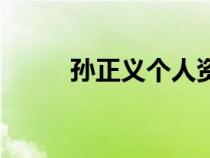 孫正義個(gè)人資料及簡介（孫正義）