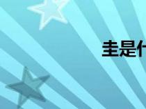 圭是什么意思（圭）