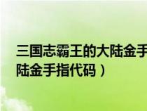 三國(guó)志霸王的大陸金手指代碼怎么輸入（三國(guó)志2霸王的大陸金手指代碼）