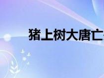 豬上樹大唐亡是什么意思（豬上樹）