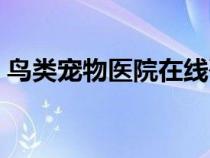 鳥類寵物醫(yī)院在線咨詢(寵物醫(yī)院在線咨詢) 鳥類寵物醫(yī)院在線咨詢(寵物醫(yī)院在線咨詢)