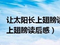 讓太陽(yáng)長(zhǎng)上翅膀讀后感150字左右(讓太陽(yáng)長(zhǎng)上翅膀讀后感) 讓太陽(yáng)長(zhǎng)上翅膀讀后感150字左右(讓太陽(yáng)長(zhǎng)上翅膀讀后感)