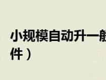 小規(guī)模自動(dòng)升一般納稅人條件（一般納稅人條件）